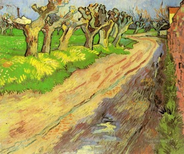 Pollard Willows Vincent van Gogh Oil Paintings